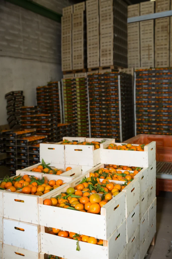 Oranges Shipment