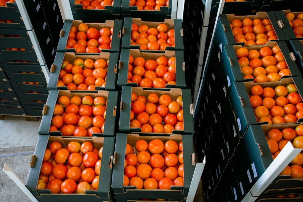 Oranges Packaging