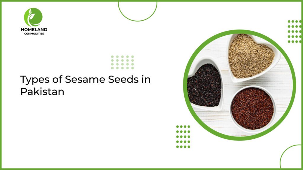 Sesame Seeds
